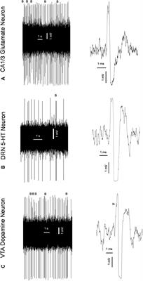 Maternal treatment with a selective delta-opioid receptor agonist during gestation has a sex-specific pro-cognitive action in offspring: mechanisms involved